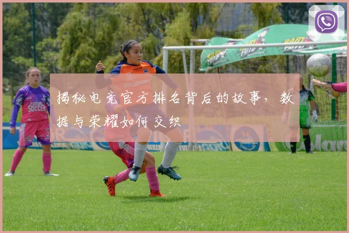 揭秘电竞官方排名背后的故事，数据与荣耀如何交织