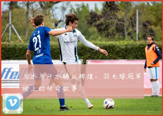 泪水与汗水铸就辉煌,羽毛球冠军榜上的传奇故事!