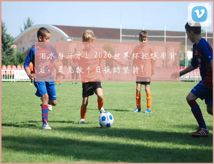 泪水与汗水！2026世界杯控球率背后，是无数个日夜的坚持！