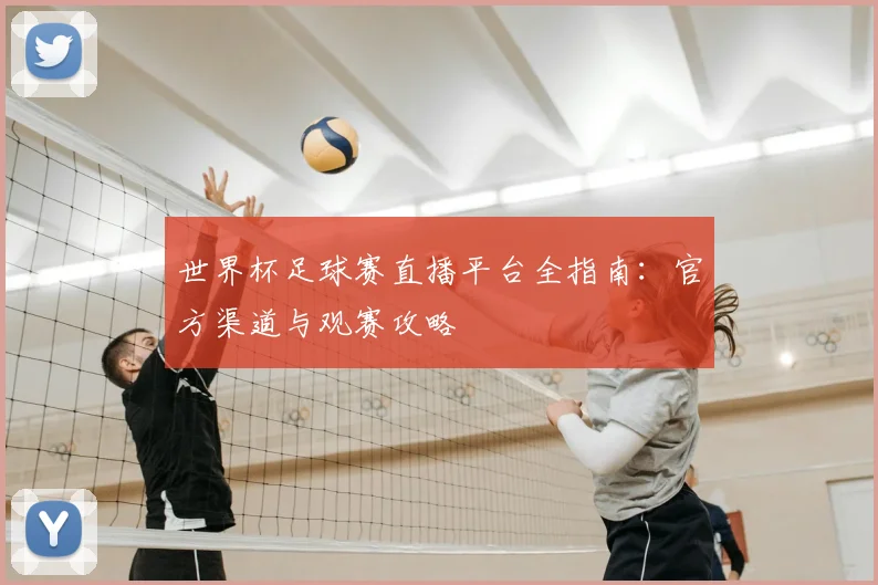 世界杯足球赛直播平台全指南：官方渠道与观赛攻略