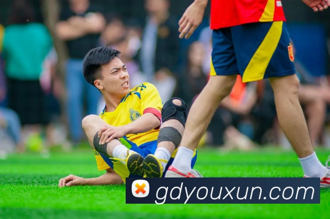 mk体育APP 封面图